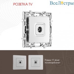 Розетка TV Arte Milano 217.43-1.silver