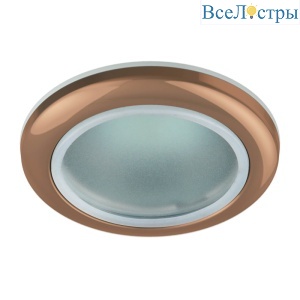 Встраиваемый светильник ЭРА WR1 SC C0043844
