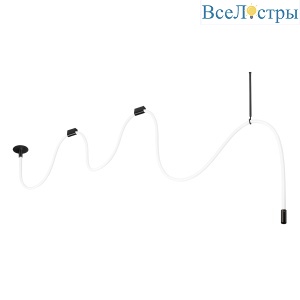 Потолочный светильник Loft IT Thread 10388B Black