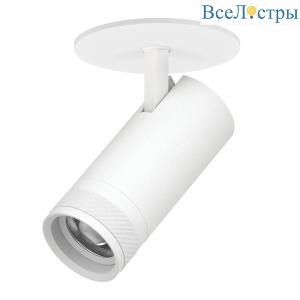 Встраиваемый светильник 20-55G с адаптером Lightstar Canno Pro C4206RS