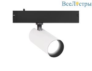 Трековый магнитный светильник Ambrella Light Track System GL8020