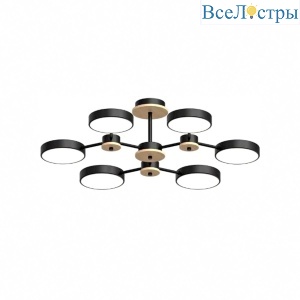 Люстра на штанге LED4U L3216-730 BK