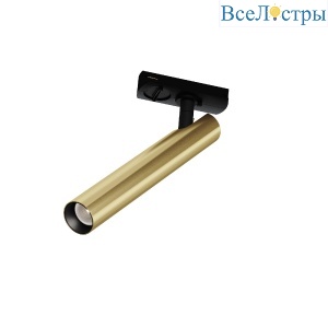 Трековый однофазный светильник Maytoni Focus T TR141-1-6W4K-M-BS