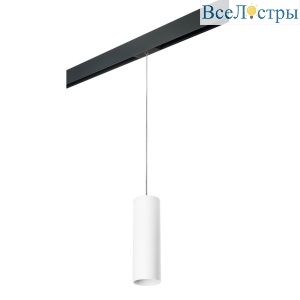 Трековый светильник Lightstar Rullo (216496+595887) PRORP6496