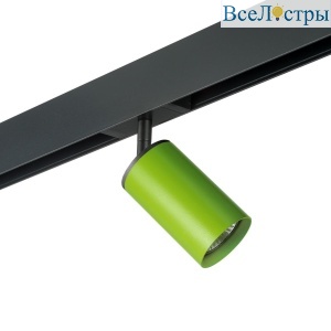 Трековый светильник Lightstar Rullo (214434+595057) PRO434