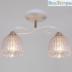 Потолочный светильник Reluce 16360-0.3-02 WH+FG