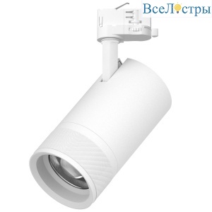 Трековый трехфазный светильник Quattro 20-55G с адаптером Lightstar Canno Pro C4406QT