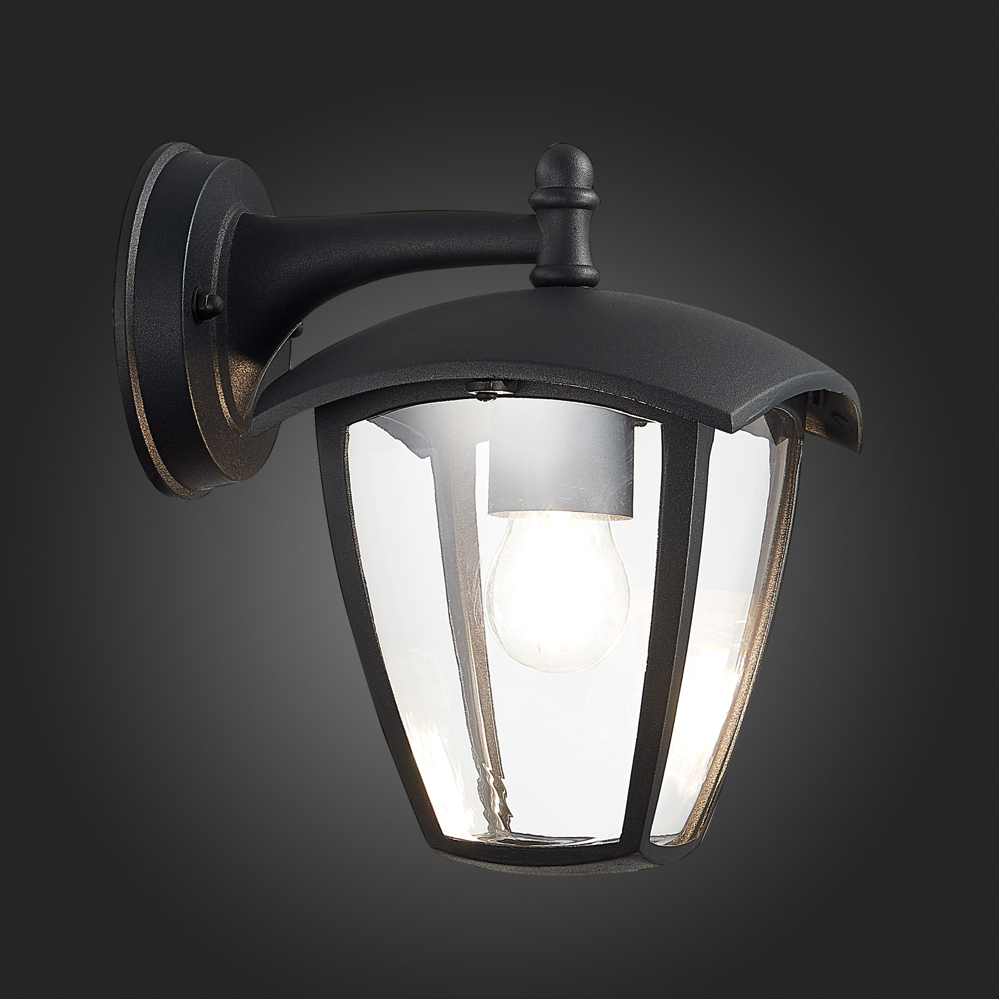 уличный настенный светильник st luce sivino sl081.411.01