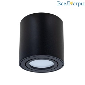 Потолочный светильник Arte Lamp Beid A1513PL-1BK