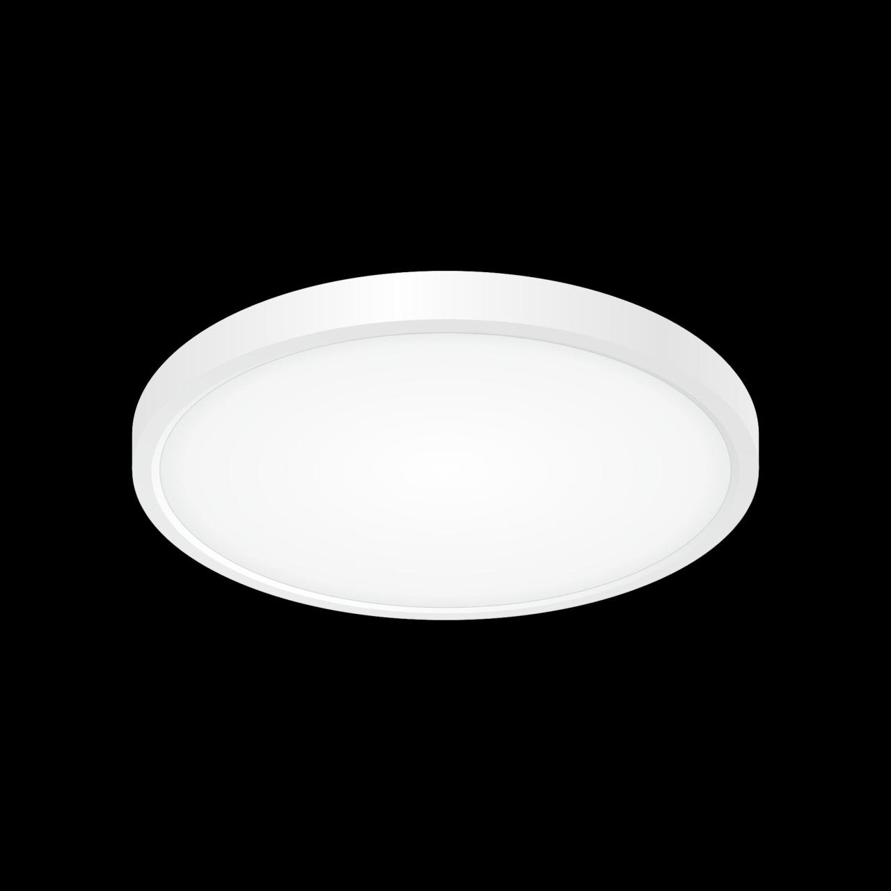 накладной светильник citilux cl738240v