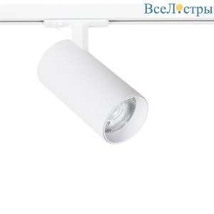 Трековый светильник Arte Lamp Bene A1947PL-1WH