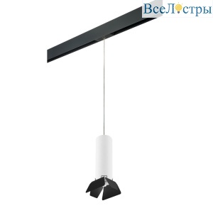 Трековый светильник Lightstar Rullo (214496+595857+202437) PRORP496437
