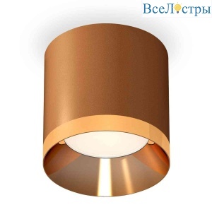 Комплект накладного светильника Ambrella light Techno Spot XS7404010 SCF/PYG кофе песок/золото желтое полированное (C7404, N7034)
