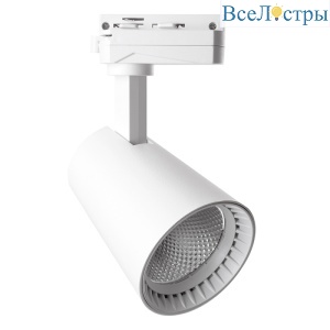 Трековый светильник Feron AL100 41605