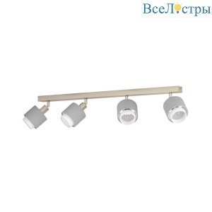 Спот Eglo Bellizzi 901048