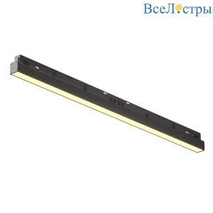 Трековый магнитный светильник Maytoni Basis TR030-2-24W2.7K-B