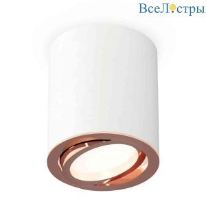 Комплект накладного светильника Ambrella light Techno Spot XS7421004 SWH/PPG белый песок/золото розовое полированное (C7421, N7005)