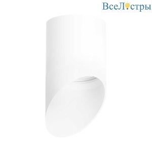 Потолочный светильник Lightstar Rullo (213486+201486) R348686