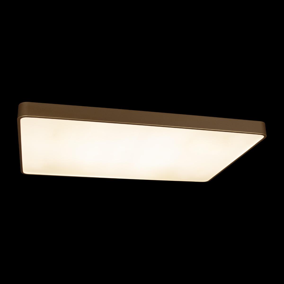 потолочный светодиодный светильник loft it flims 10228/e