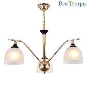 Подвесная люстра Escada Actinidia 2123/3P