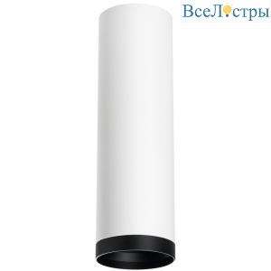Накладной светильник Lightstar Rullo R64963487 (216496+203487)