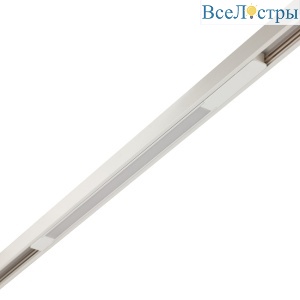 Трековый светильник AM Group MAGNET AM506 WH 10W 3000K