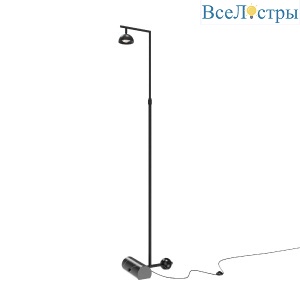 Торшер Maytoni Pikant MOD372FL-L10B3K