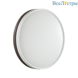 Настенно-потолочный светодиодный светильник Sonex Color Nohava Brown 7668/DL