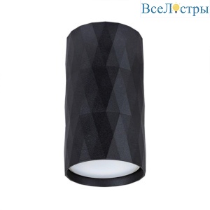 Потолочный светильник Arte Lamp Fang A5557PL-1BK