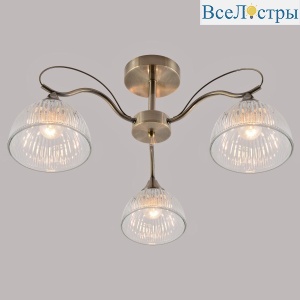 Потолочный светильник Reluce 90510-0.3-03 AB