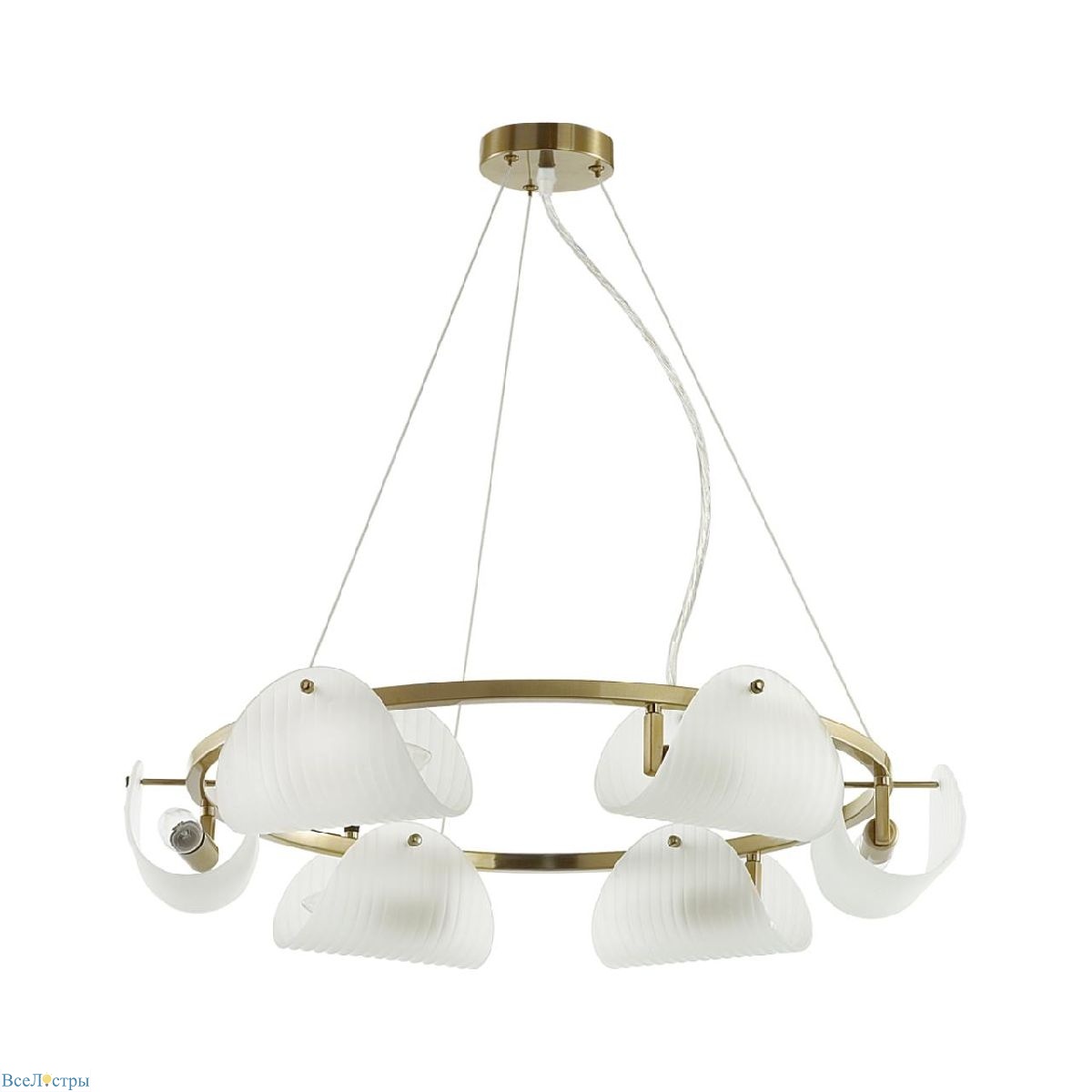 подвесная люстра lumion fioro 6571/6