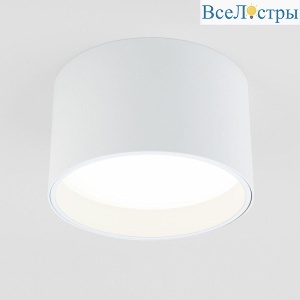 Потолочный светодиодный светильник Elektrostandard 25123/Led Banti 13Вт 4200K 4690389183980
