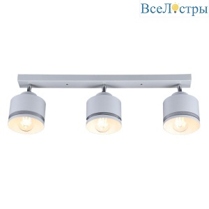 Спот IMEX SP.025-53-80