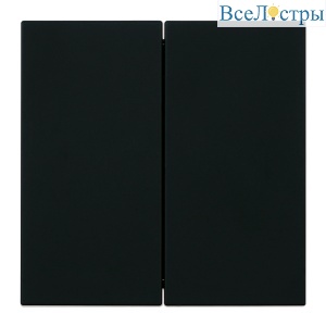 Переключатель 2-клавишный (механизм) Stekker Мия 250В 10А RSW10-3107-05 черный бархат 50448