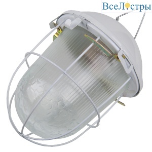 Подвесной светильник General НСП 02-100-002.01 437822