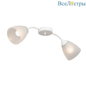 Потолочный светильник Vitaluce V3750/2PL