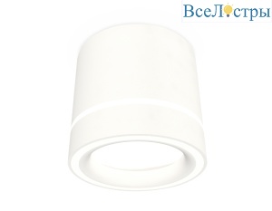 Потолочный светильник Ambrella Light Techno Spot XS8110004 (C8110, N8433)