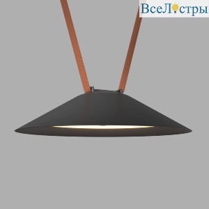 Трековый однофазный светильник Denkirs Belty Flow DK5565-BK