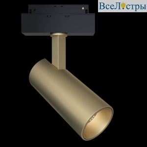Трековый светильник Maytoni Focus LED  TR019-2-15W4K-MG