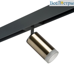 Трековый светильник Lightstar Rullo (214431+595057+202430) PRO43130