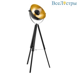 Торшер Eglo Covaleda 49618
