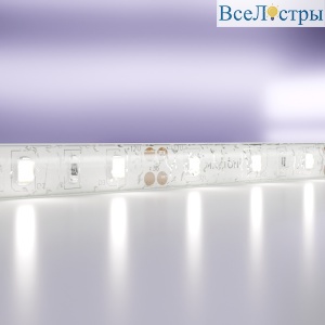 Светодиодная лента Maytoni Led Strip 12В 2835 7,2Вт/м 6000K 5м IP65 20006