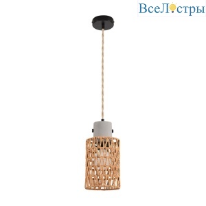 Подвесной светильник Lumion Eco Boho 8366/1A