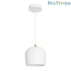 Подвесной светодиодный светильник Arlight SP-PEONY-HANG-R250-15W Day4000 039547