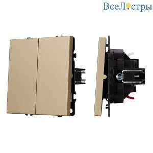 Механизм выключателя двухклавишный непроходной Arlight SWT-NOBE-MK02-SFPL-GD (230V, 10A) 054253