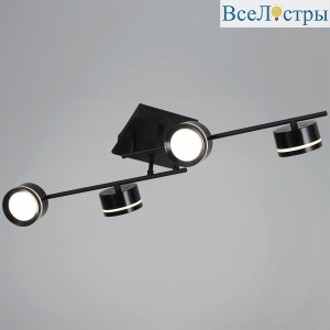Потолочная люстра Reluce 10590-0.3-04 Black