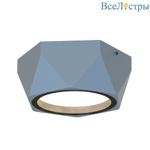 Уличный потолочный светильник Favourite Fantum 4669-1U