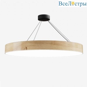 Подвесной светодиодный светильник Siled Ring 7373044