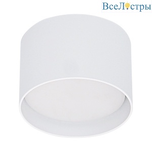 Накладной светильник Reluce 53006-9.5-001LD GX53 WT