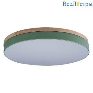 Потолочный светодиодный светильник Loft IT Axel 10001/36 green